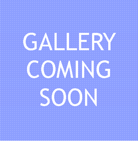 Text Box: GALLERY COMING SOON